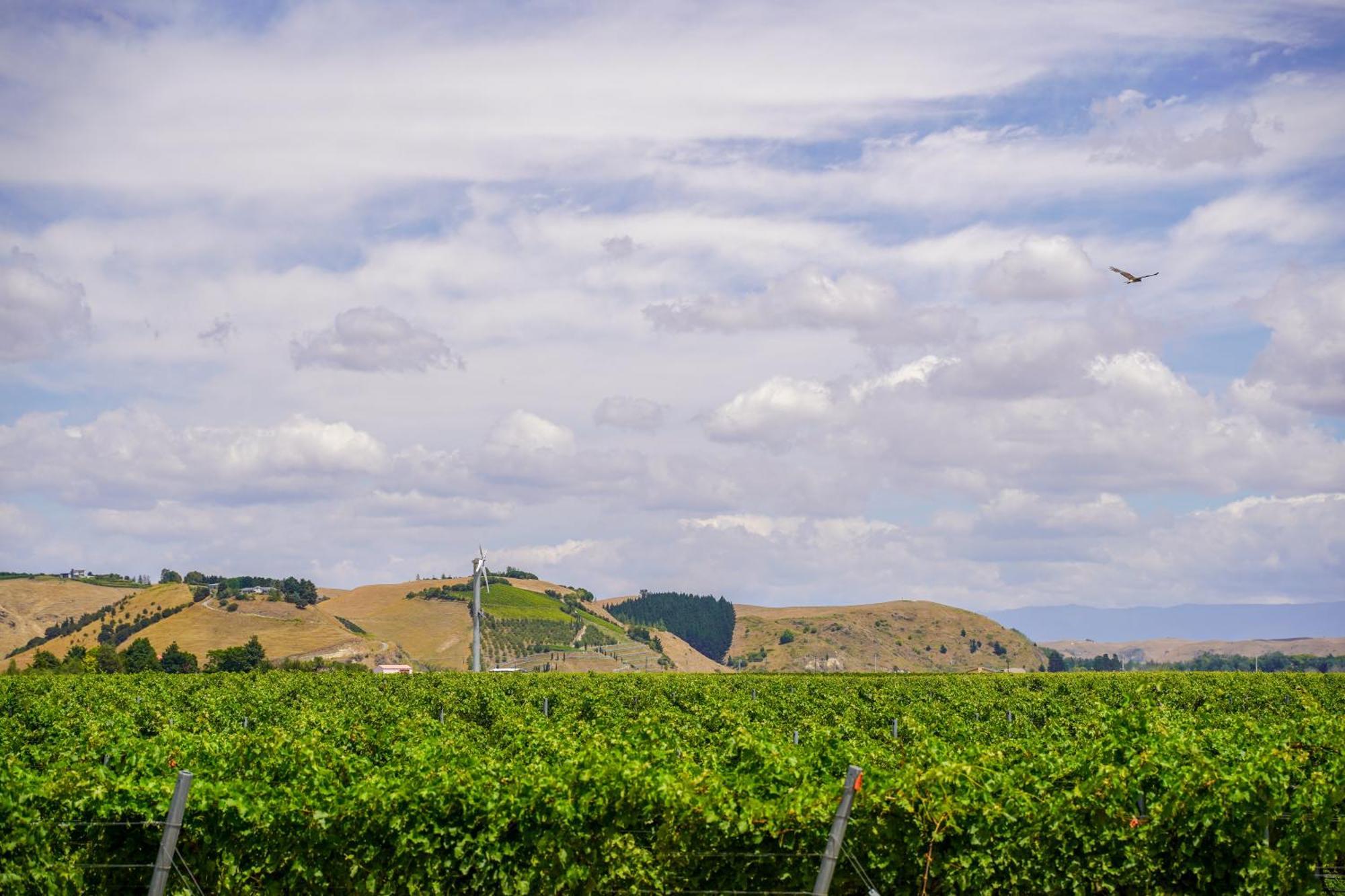 Syrah Suite Unison Vineyard Fernhill Exterior photo